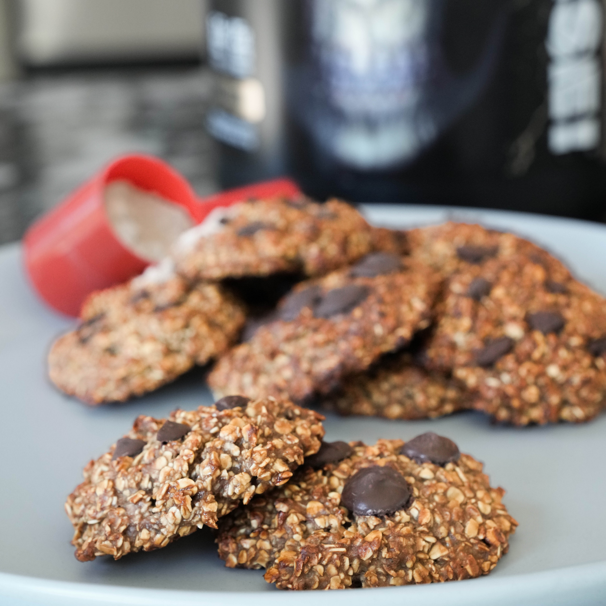 Chocolate Oat Protein Cookies